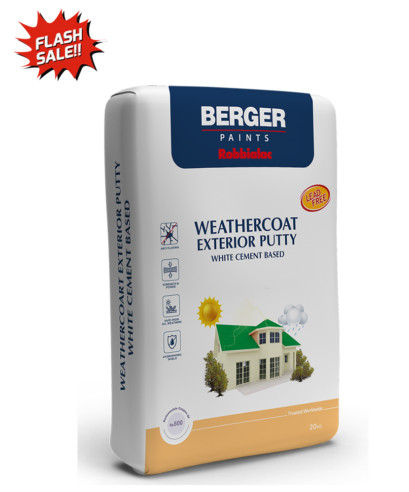 Weather Coat Exterior Putty - White Cement Based