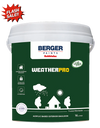 Weather Pro