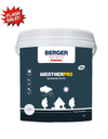 WeatherPro Exterior Putty